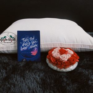 Ruột gối nằm lông vũ(50x70)