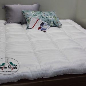 Topper  Cotton Light Sọc 3 cm