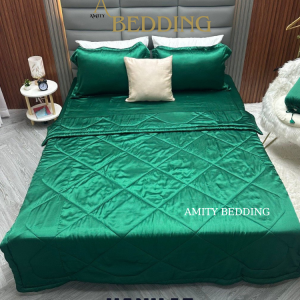 Bộ Chăn Drap Phi Lụa Xanh 15
