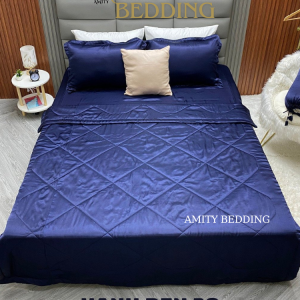 Bộ Chăn Drap Phi Lụa Xanh 20