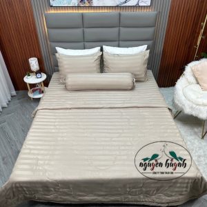 Chăn Drap  Cotton Light  Sọc 3 Cm