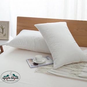 Bộ  Drap Bọc Thun T250