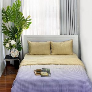 Chăn Drap Tencel 100s